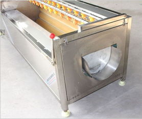 厂家直销QXJ 1200型优质不锈钢毛刷式土豆清洗机